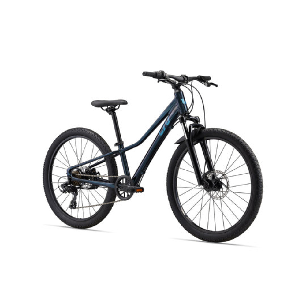 LIV Tempt 24 Disc Starry Night